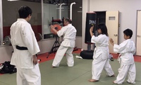 型の稽古後、動作がキレっキレに！？ 2019/05/14 02:02:43