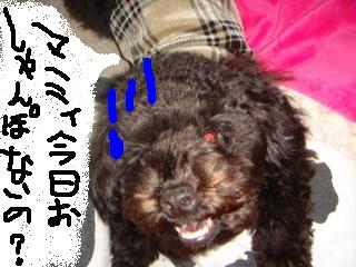雪**雪ぃ