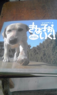 2010年08月17日