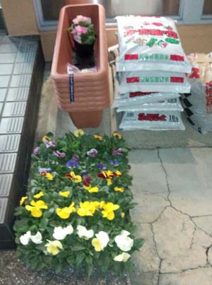 花を植えました