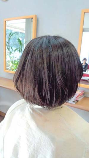 スクールカット