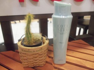新商品情報☆