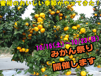 みかん祭り開催します☆