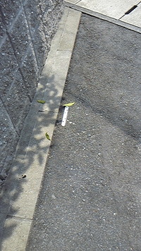 無くなっている