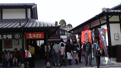 桜の馬場