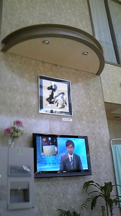 沢田内科医院