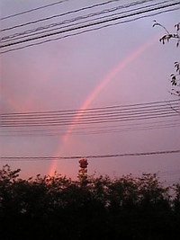 ●虹が出たよ！