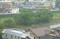 ●今日も大雨？