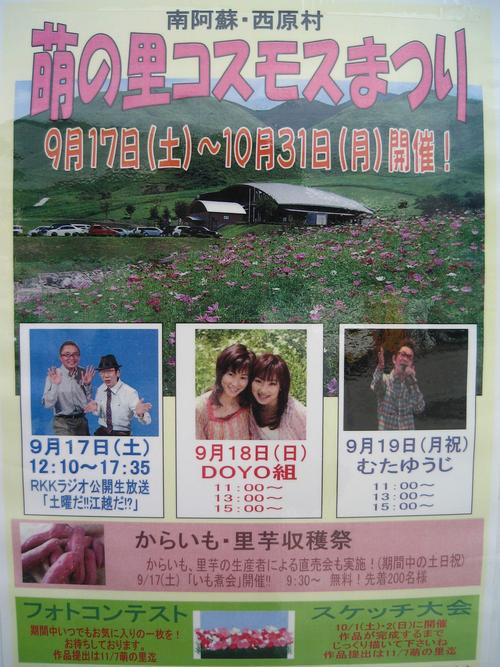 萌の里 コスモス祭!!!