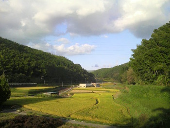 田園地帯