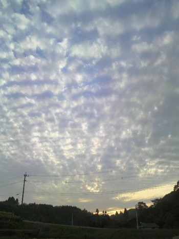 西の空