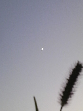 三日月