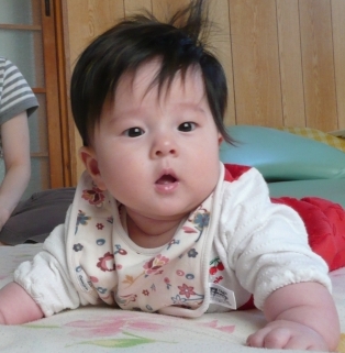 めいな2