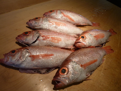 うまい魚