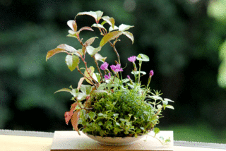 イベント・熊本県伝統工芸館2F-6