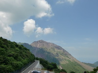 雲仙・島原・普賢・仁田峠・雲仙つつじ（ミヤマキリシマ） 2010/05/31 09:06:06