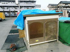 犬小屋の廃棄物。