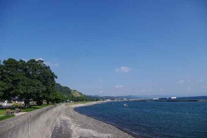 鹿児島・桜島と垂水のアコウ樹
