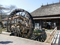 麦藁屋根の茶屋と美学と田舎