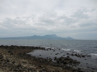 Welkome（ウェルカム）・植える来夢　湯島ヘ 2010/04/13 11:34:25