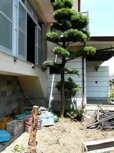 ごみしょり・おじさんの独言