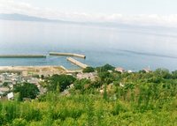 ふるさと・湯島・島桜一本会運動 2010/02/28 09:11:29