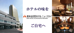 ニュースカイホテル