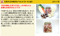 よあけの里（熊本よか市ネット内）