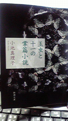 小池真理子『玉虫と十一の掌篇小説』　感覚鋭く美しい描写の数々