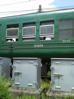 カエル電車の横っ腹