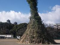 どんどや