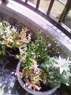 さっそく朝から~~♥