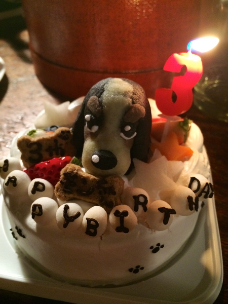 HappyBirthday☆