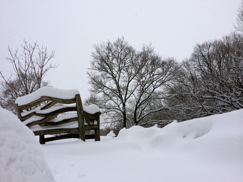 すごい積雪☆