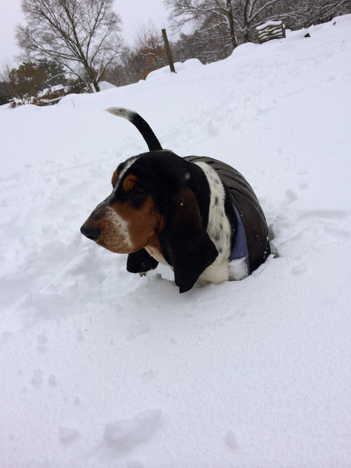 すごい積雪☆