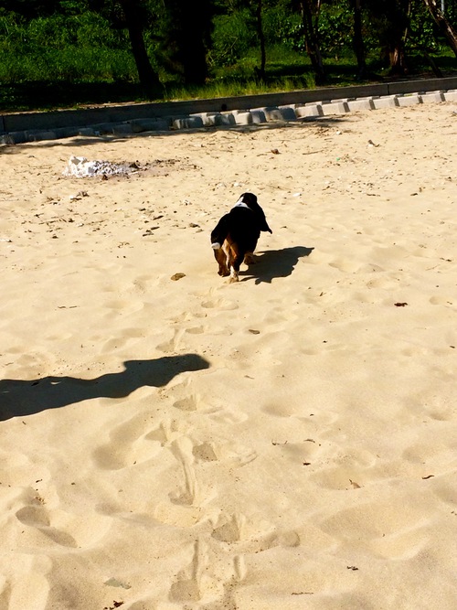 初めてのスイミング☆ 初めてのスイミング☆