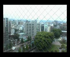 いつもと違う朝