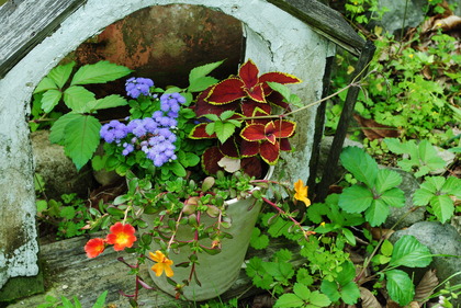 My Garden☆