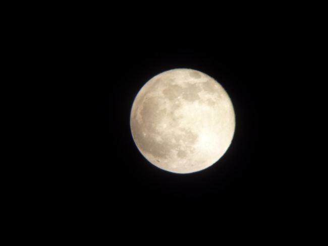 今夜は満月☆