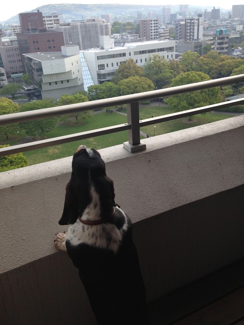 モンクのひとりごと☆