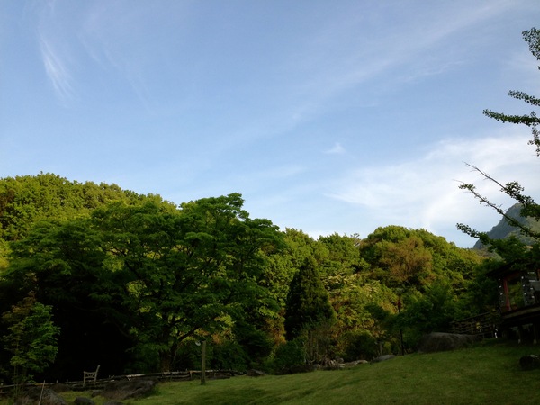 庭の衣替え☆