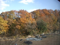 いよいよ12月ですね