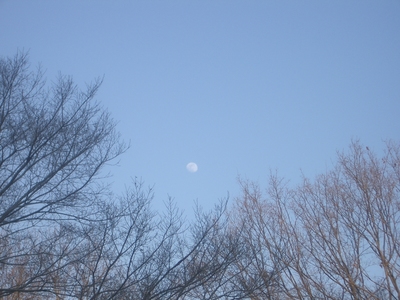 昨日は。。 そして、昼間の月
