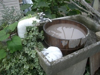 谷人たちの美術館~陶芸体験♪~