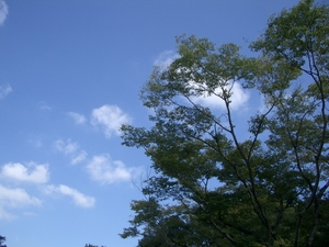 秋晴れ♪と反省。。。