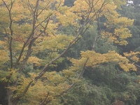 秋色と3本の雲♪