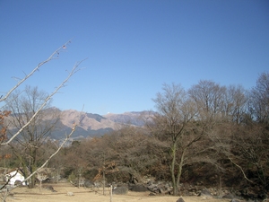 数日のあいだに・・・