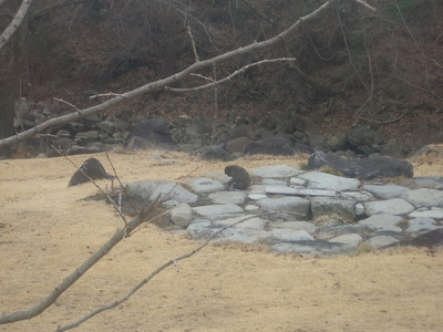 久しぶりにやってきた!!!