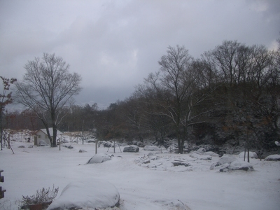 雪化粧..☆.・o○゜