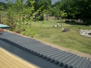 写経に感謝をこめて☆